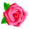Цветы, розы и многое другое 25