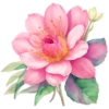 Цветы, розы и многое другое 26