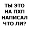 Developer 13