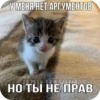 Китики KB_Wing 27