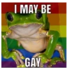 Frog for Masha 25