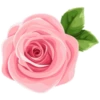 Цветы, розы и многое другое 28
