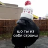 Corvus 24