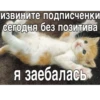 Китики KB_Wing 29
