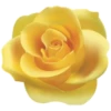 Цветы, розы и многое другое 29