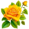 Цветы, розы и многое другое 30