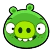 ross_the_pig 11