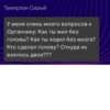 Assovsky club 13