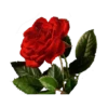 @Crepusculo_sol_e_lua_11's SmudgeLord v5 9
