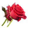 @Crepusculo_sol_e_lua_11's SmudgeLord v5 10