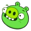 ross_the_pig 13
