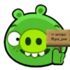 ross_the_pig 14