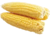 Foods 17