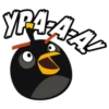 Angry Birds in Russia 22