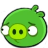 ross_the_pig 17