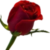 @Crepusculo_sol_e_lua_11's SmudgeLord v5 24