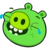 ross_the_pig 18