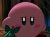 Kirby 26
