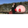 Kirby 28