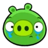 ross_the_pig 20