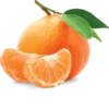 Foods 29