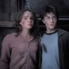 ｡˚༷☁️꒦꒷ Harry and Mione• @Leviosaasticker 6