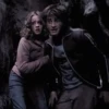 ｡˚༷☁️꒦꒷ Harry and Mione• @Leviosaasticker 8