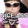 hehe meow 12