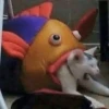 hehe meow 14