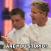 Gordon Ramsay 19