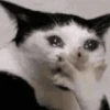hehe meow 20