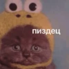 hehe meow 22
