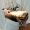 hehe meow 23