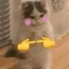 hehe meow 26