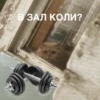 Meow 9