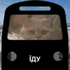 Meow 10