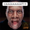 САААААААААП !!! Orange