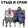Больше стикеров: @capybarastiker 12