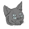 Kat 16