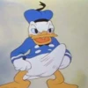 Harold 7