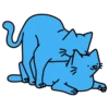 Kat 20
