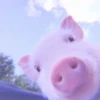 ≛ ૮₍ bAby pigs ₎ა @diarymonchyz 6