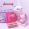 ≛ ૮₍ bAby pigs ₎ა @diarymonchyz 9