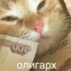 HatersGonnaHate 11