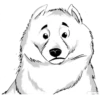 Ice dog 5