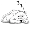 Ice dog 10