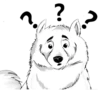 Ice dog 13