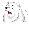 Ice dog 15