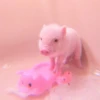 ≛ ૮₍ bAby pigs ₎ა @diarymonchyz 26