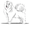 Ice dog 19